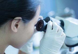 Bosnian Adelaide translators agency