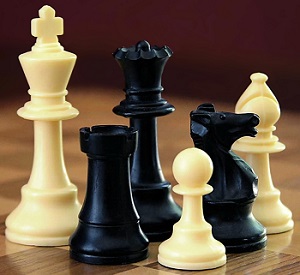 Bosnian Sydney sports translator