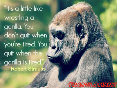 Robert Strauss Translationz