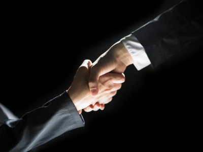 professional service