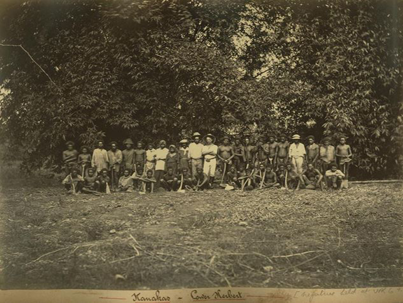 Kuuk Thaayore Translationz