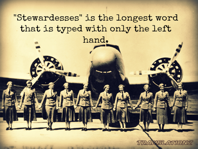 Stewardess Translationz