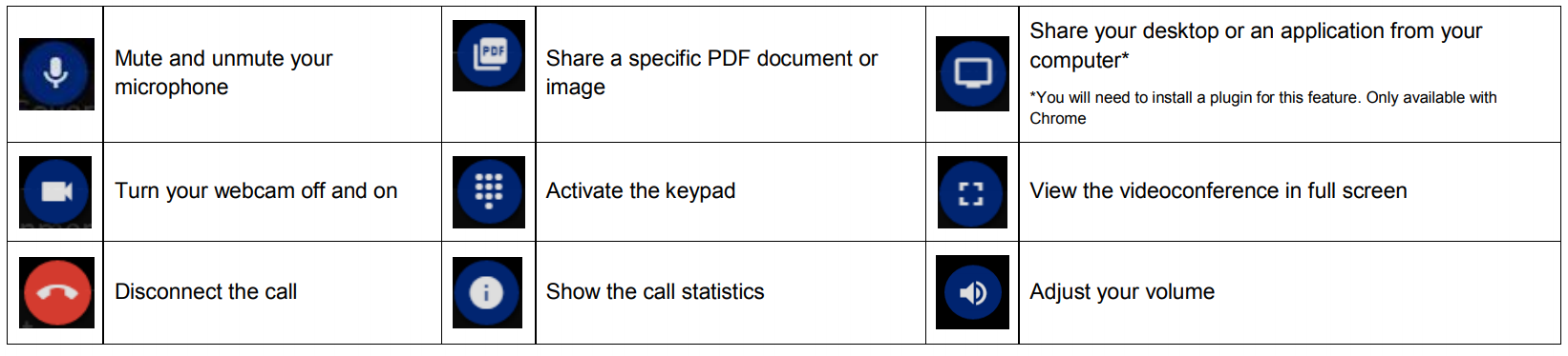 Video Conference Controls